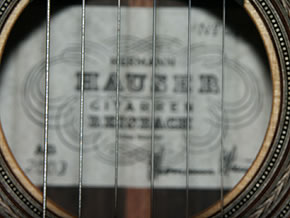 Hauser | Rosette | 2003